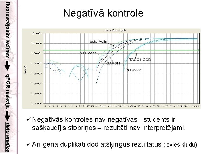 fluorescējošās iezīmes Negatīvā kontrole q. PCR reakcija datu analīze ü Negatīvās kontroles nav negatīvas