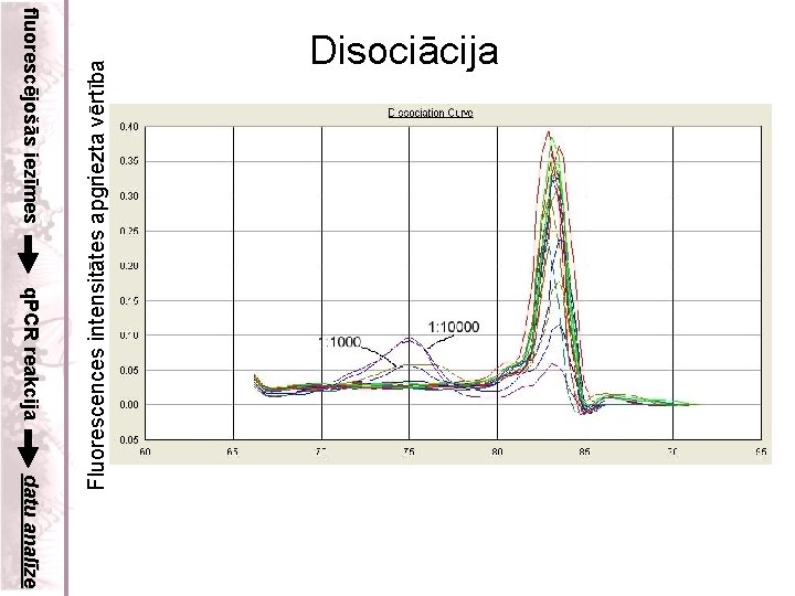 fluorescējošās iezīmes q. PCR reakcija datu analīze Fluorescences intensitātes apgriezta vērtība Disociācija 