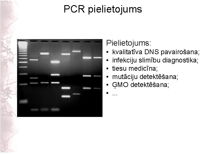 PCR pielietojums Pielietojums: • • • kvalitatīva DNS pavairošana; infekciju slimību diagnostika; tiesu medicīna;