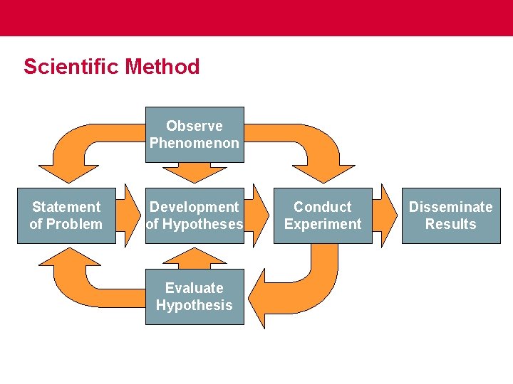 Scientific Method Observe Phenomenon Statement of Problem Development of Hypotheses Evaluate Hypothesis Conduct Experiment