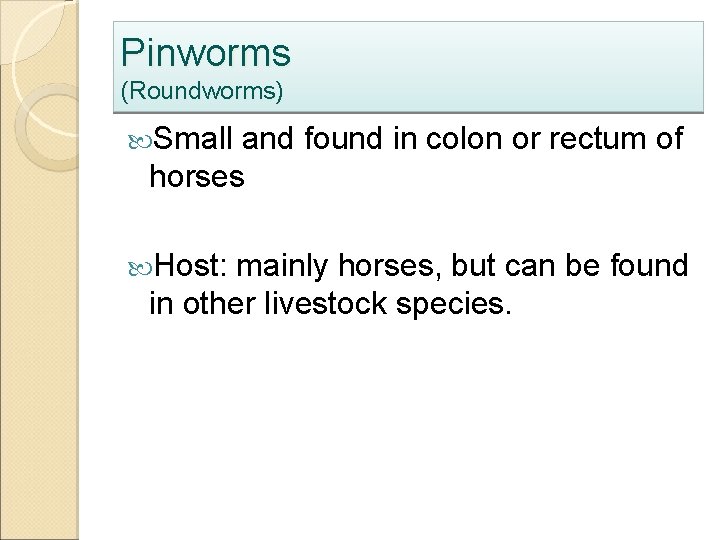 Pinworms (Roundworms) Small and found in colon or rectum of horses Host: mainly horses,