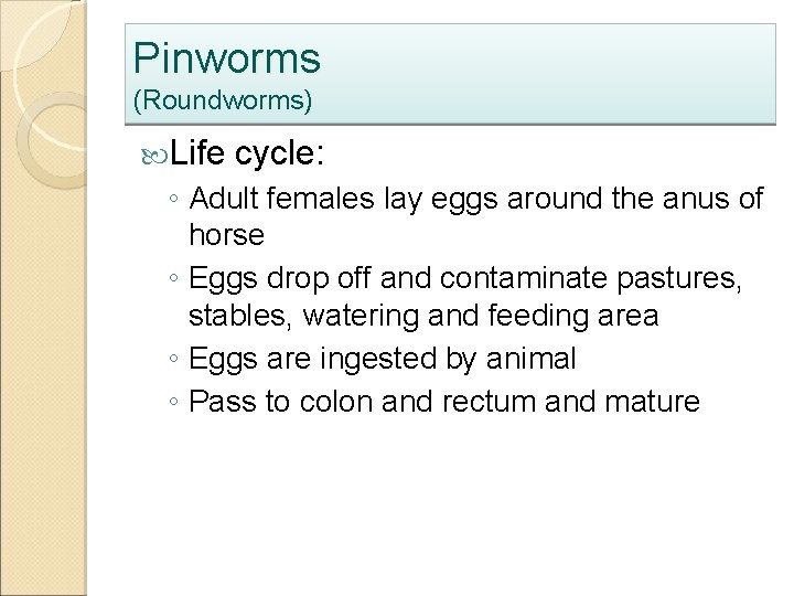 Pinworms (Roundworms) Life cycle: ◦ Adult females lay eggs around the anus of horse