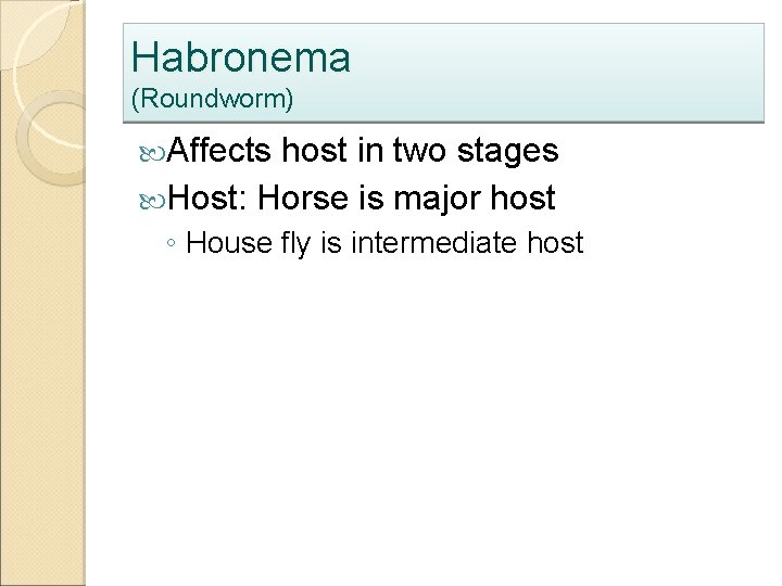 Habronema (Roundworm) Affects host in two stages Host: Horse is major host ◦ House