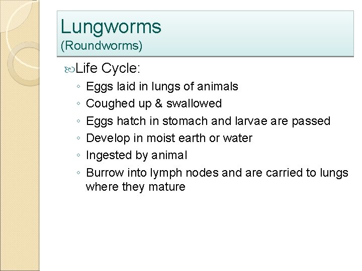 Lungworms (Roundworms) Life ◦ ◦ ◦ Cycle: Eggs laid in lungs of animals Coughed