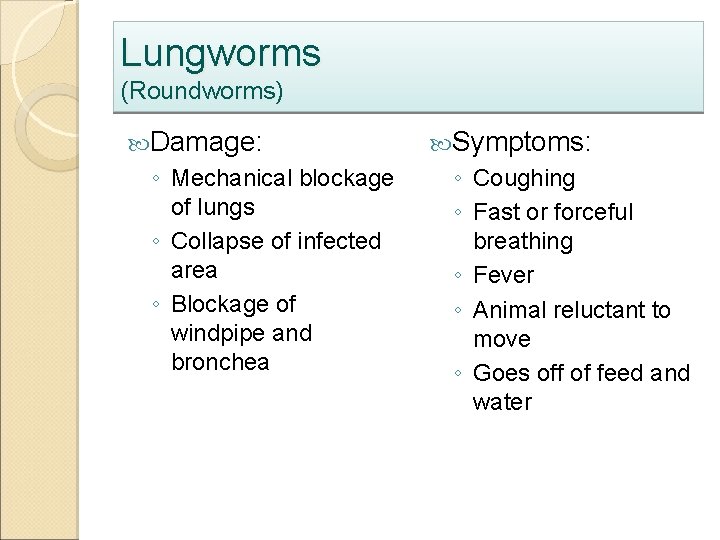 Lungworms (Roundworms) Damage: ◦ Mechanical blockage of lungs ◦ Collapse of infected area ◦