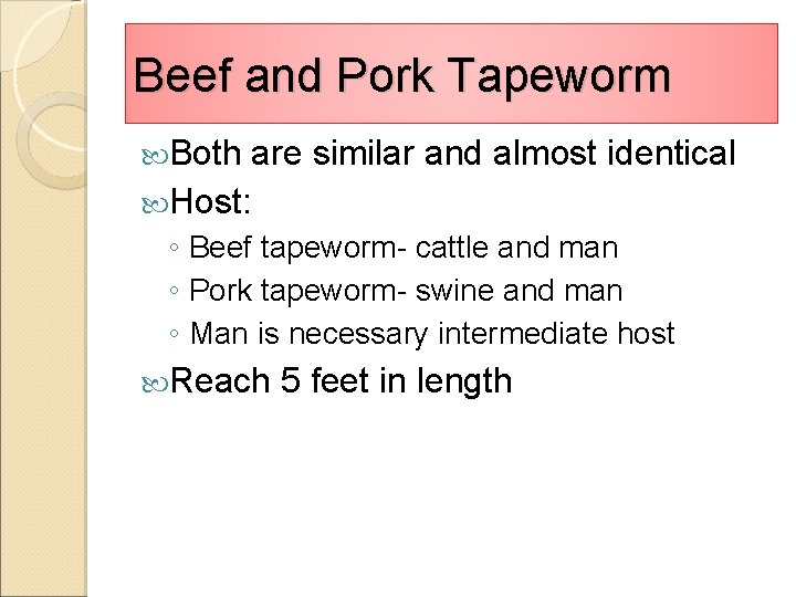 Beef and Pork Tapeworm Both are similar and almost identical Host: ◦ Beef tapeworm-