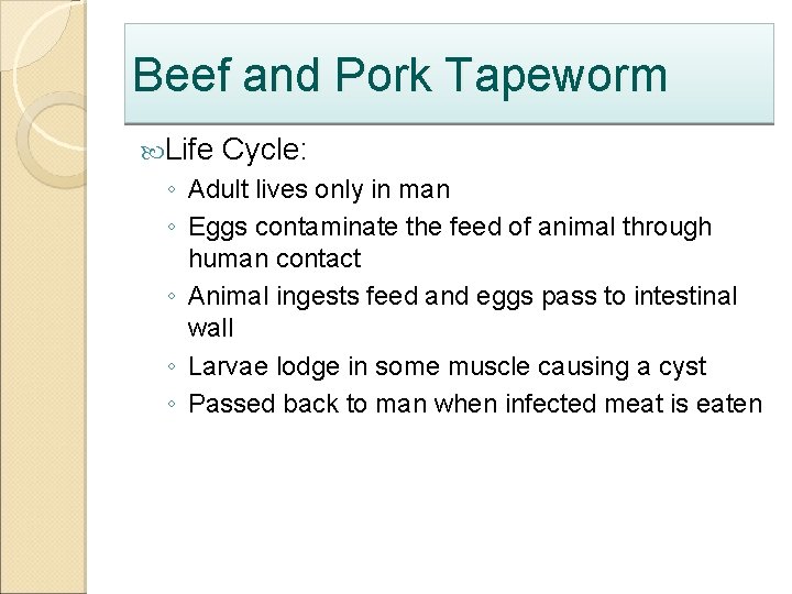 Beef and Pork Tapeworm Life Cycle: ◦ Adult lives only in man ◦ Eggs