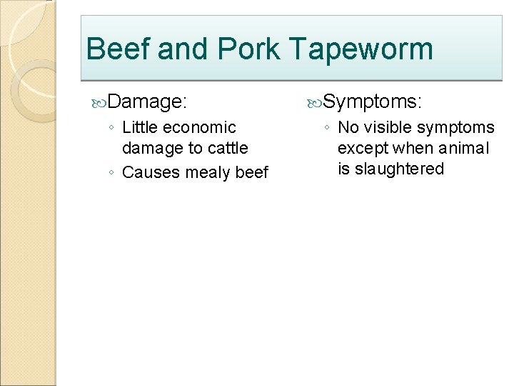 Beef and Pork Tapeworm Damage: ◦ Little economic damage to cattle ◦ Causes mealy