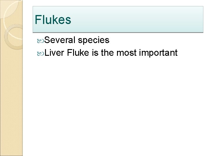 Flukes Several species Liver Fluke is the most important 