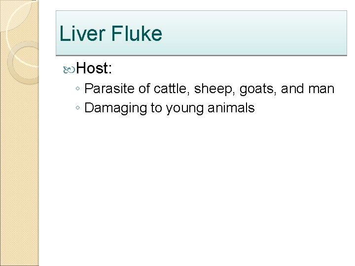 Liver Fluke Host: ◦ Parasite of cattle, sheep, goats, and man ◦ Damaging to