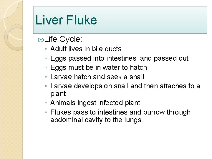 Liver Fluke Life Cycle: ◦ Adult lives in bile ducts ◦ Eggs passed into