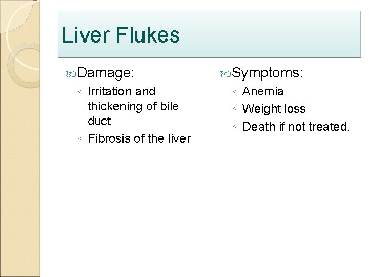 Liver Flukes Damage: ◦ Irritation and thickening of bile duct ◦ Fibrosis of the