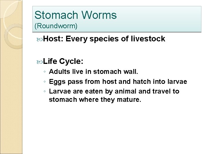 Stomach Worms (Roundworm) Host: Life Every species of livestock Cycle: ◦ Adults live in