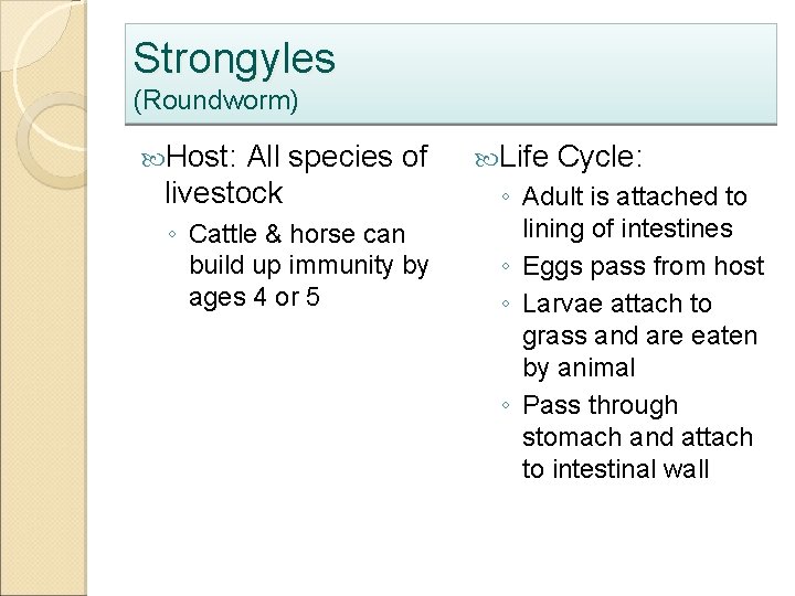 Strongyles (Roundworm) Host: All species of livestock ◦ Cattle & horse can build up