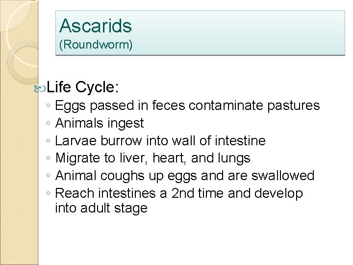 Internal Parasites of Livestock Internal Parasites of Livestock