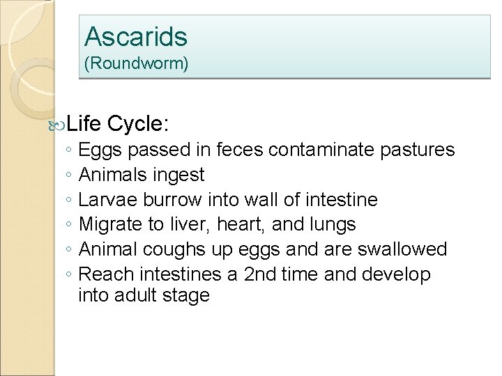 Ascarids (Roundworm) Life Cycle: ◦ Eggs passed in feces contaminate pastures ◦ Animals ingest