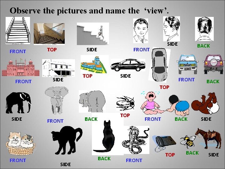 Observe the pictures and name the ‘view’. FRONT SIDE FRONT TOP SIDE BACK FRONT