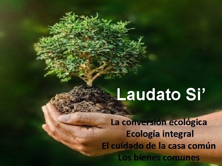 Laudato Si’ La conversión ecológica Ecología integral El cuidado de la casa común Los