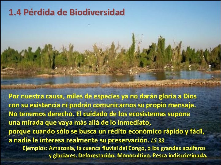 1. 4 Pérdida de Biodiversidad Por nuestra causa, miles de especies ya no darán