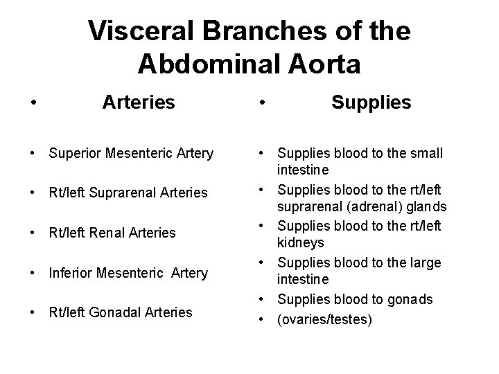 Visceral Branches of the Abdominal Aorta • Arteries • Superior Mesenteric Artery • Rt/left