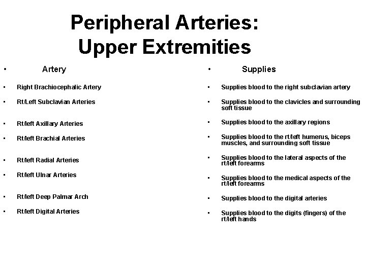 Peripheral Arteries: Upper Extremities • Artery • Supplies • Right Brachiocephalic Artery • Supplies