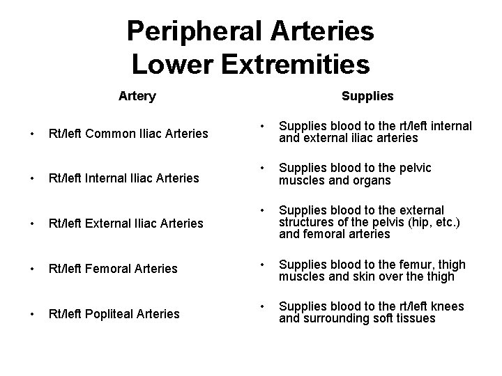 Peripheral Arteries Lower Extremities Artery • • Rt/left Common Iliac Arteries Rt/left Internal Iliac