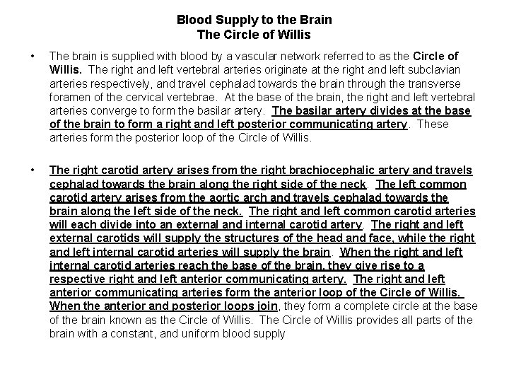 Blood Supply to the Brain The Circle of Willis • The brain is supplied