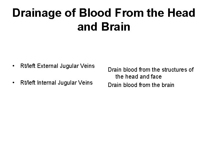 Drainage of Blood From the Head and Brain • Rt/left External Jugular Veins •