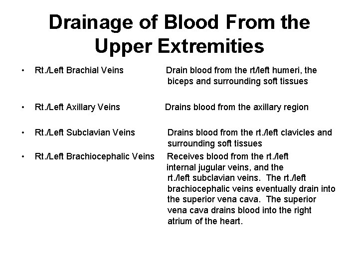 Drainage of Blood From the Upper Extremities • Rt. /Left Brachial Veins Drain blood