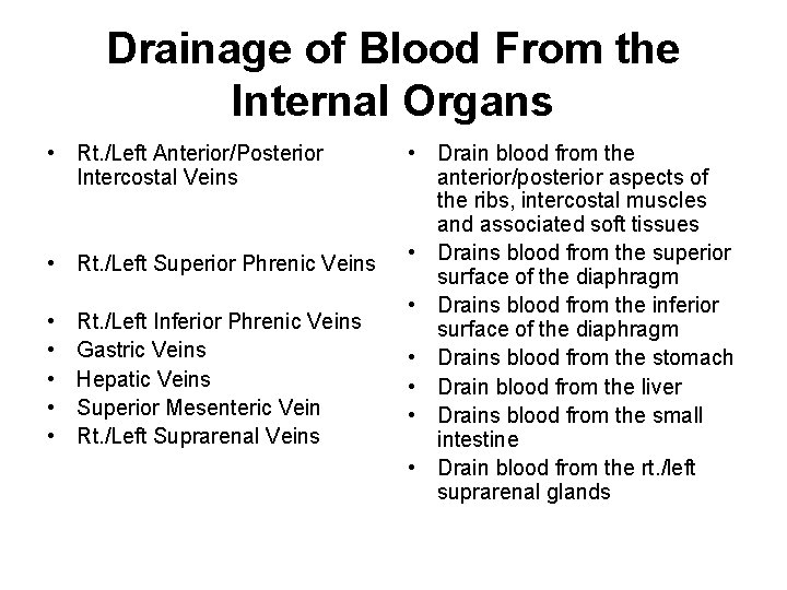 Drainage of Blood From the Internal Organs • Rt. /Left Anterior/Posterior Intercostal Veins •