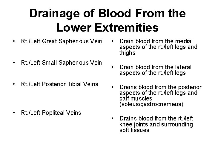 Drainage of Blood From the Lower Extremities • Rt. /Left Great Saphenous Vein •