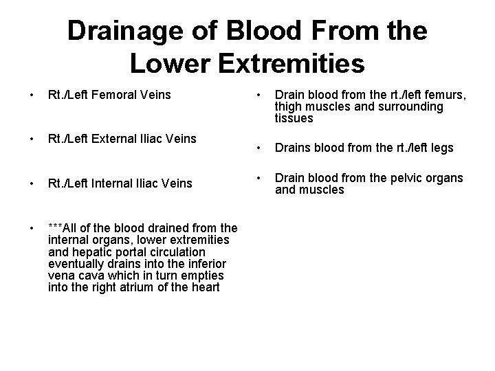 Drainage of Blood From the Lower Extremities • Rt. /Left Femoral Veins • Rt.