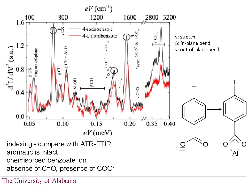 ν: stretch β: in-plane bend γ: out-of-plane bend indexing - compare with ATR-FTIR aromatic