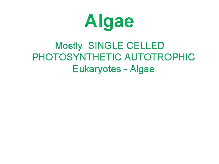 Algae Mostly SINGLE CELLED PHOTOSYNTHETIC AUTOTROPHIC Eukaryotes - Algae 