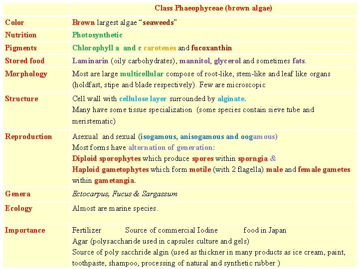 Class Phaeophyceae (brown algae) Color Brown largest algae “seaweeds” Nutrition Photosynthetic Pigments Chlorophyll a