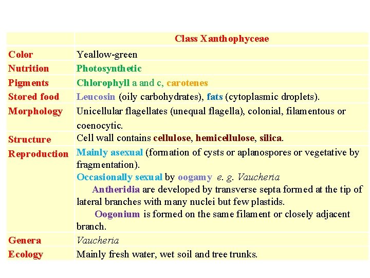 Class Xanthophyceae Color Nutrition Pigments Stored food Morphology Yeallow-green Photosynthetic Chlorophyll a and c,