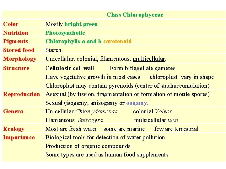 Class Chlorophyceae Color Nutrition Pigments Stored food Morphology Structure Mostly bright green Photosynthetic Chlorophylls