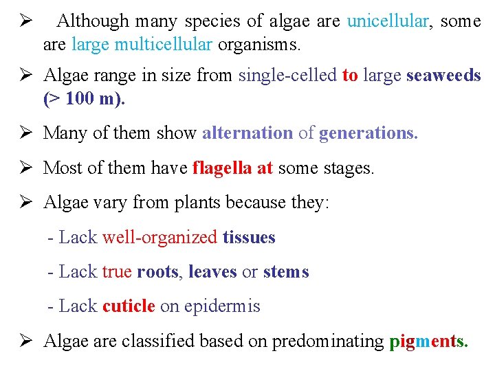 Ø Although many species of algae are unicellular, some are large multicellular organisms. Ø