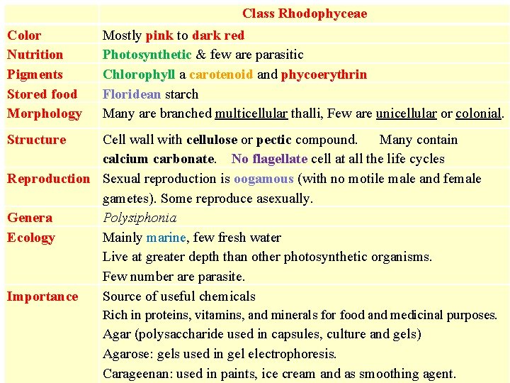 Class Rhodophyceae Color Nutrition Pigments Stored food Morphology Mostly pink to dark red Photosynthetic