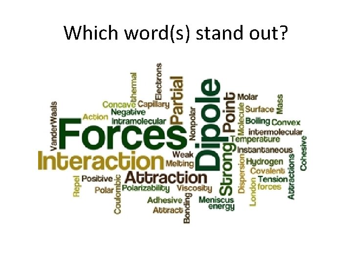 Which word(s) stand out? 