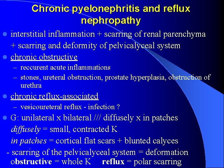 Pathology Of Kidney And Collecting System Assoc Professor