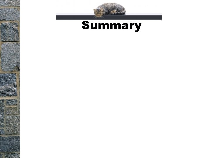 Summary Summary