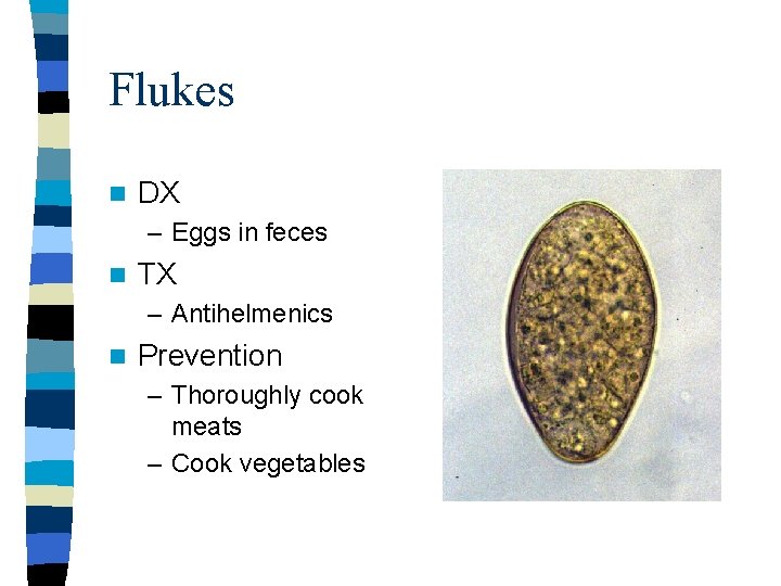 Flukes n DX – Eggs in feces n TX – Antihelmenics n Prevention –