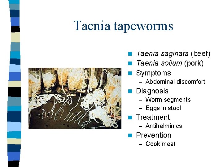 Taenia tapeworms Taenia saginata (beef) n Taenia solium (pork) n Symptoms n – Abdominal
