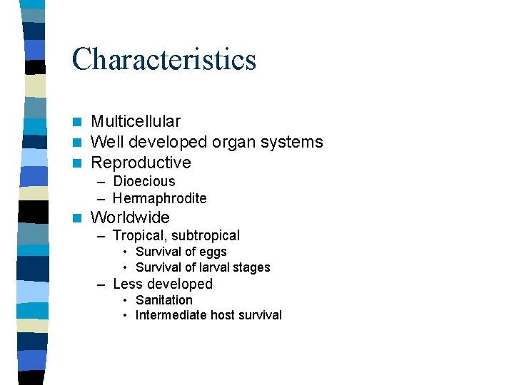 Characteristics n n n Multicellular Well developed organ systems Reproductive – Dioecious – Hermaphrodite