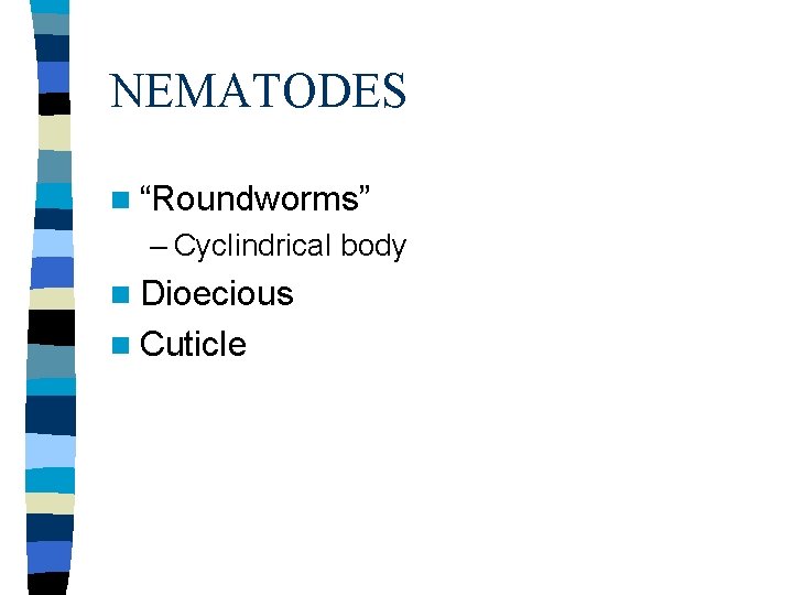 NEMATODES n “Roundworms” – Cyclindrical body n Dioecious n Cuticle 