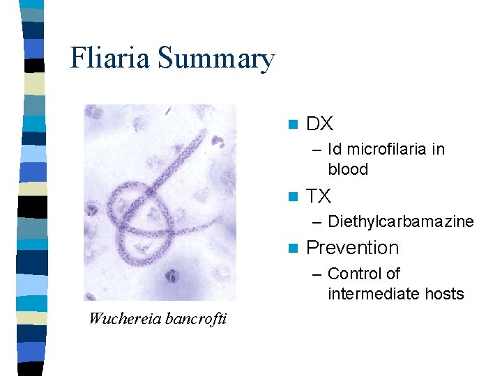 Fliaria Summary n DX – Id microfilaria in blood n TX – Diethylcarbamazine n