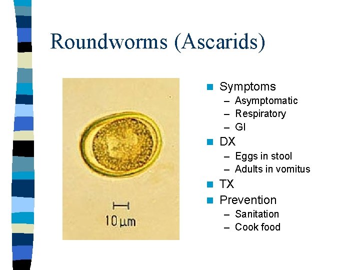 Roundworms (Ascarids) n Symptoms – Asymptomatic – Respiratory – GI n DX – Eggs