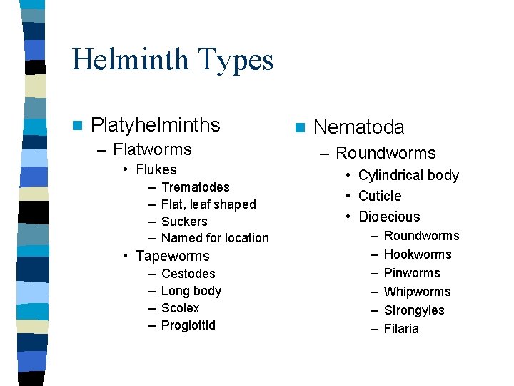 Helminth Types n Platyhelminths – Flatworms • Flukes – – Trematodes Flat, leaf shaped