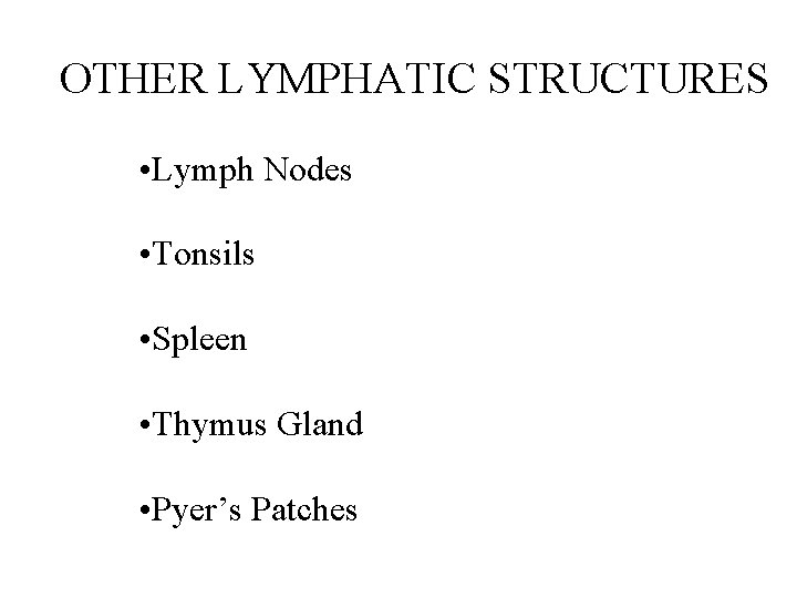 OTHER LYMPHATIC STRUCTURES • Lymph Nodes • Tonsils • Spleen • Thymus Gland • OTHER LYMPHATIC STRUCTURES • Lymph Nodes • Tonsils • Spleen • Thymus Gland •